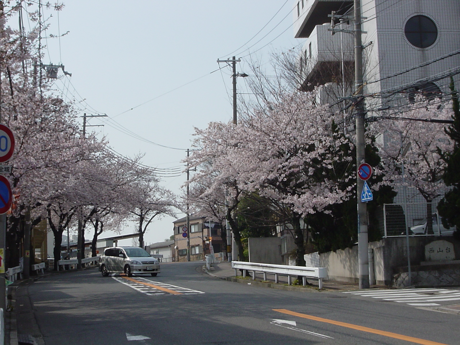DSC04755.JPG