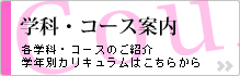 学科・コース案内/各学科・コースのご紹介学年別カリキュラムはこちらから